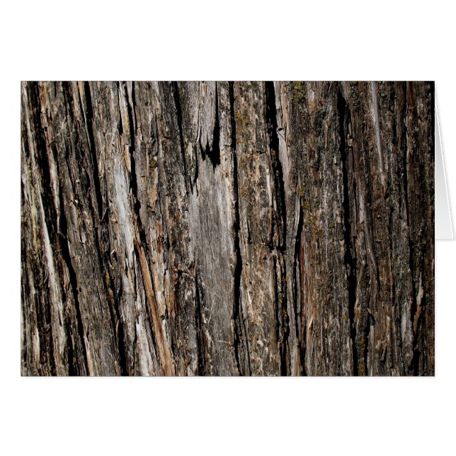Tree Bark Blank (Vorderseite (Horizontal))