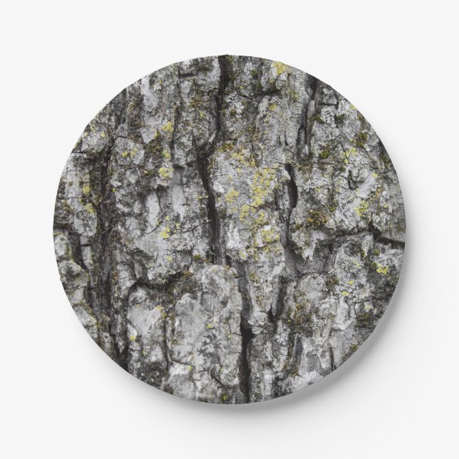 Tree Bark Pappteller (Vorderseite)