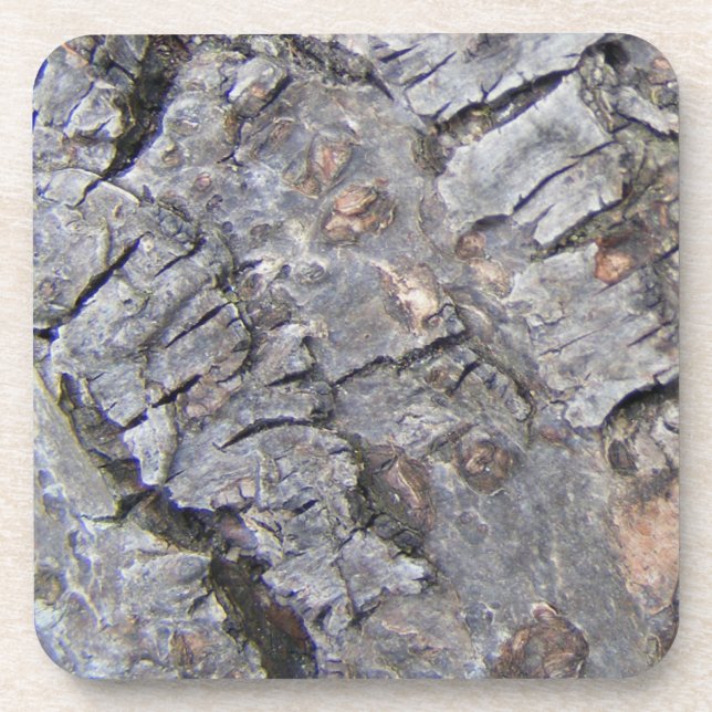 Tree Bark Untersetzer (Vorderseite)