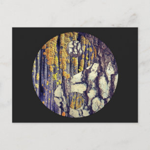 Tree Bark Yin Yang Postcard Postkarte