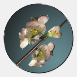 Tree Blossom Umschlag Aufkleber