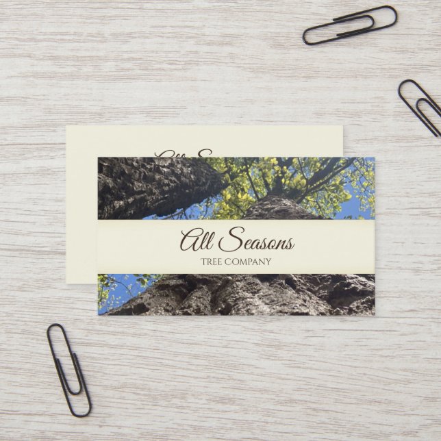 Tree Business Card Visitenkarte (Vorderseite/Rückseite Beispiel)