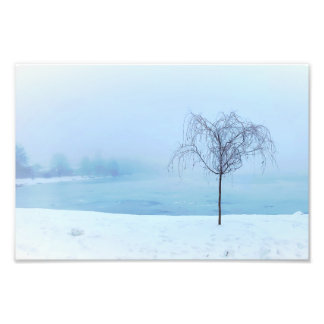 Tree by a Frozen Lake Fotodruck
