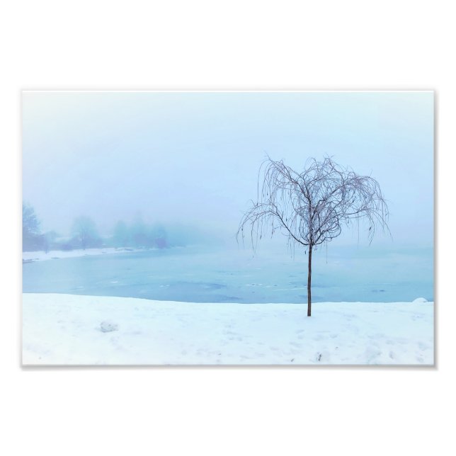 Tree by a Frozen Lake Fotodruck (Vorne)