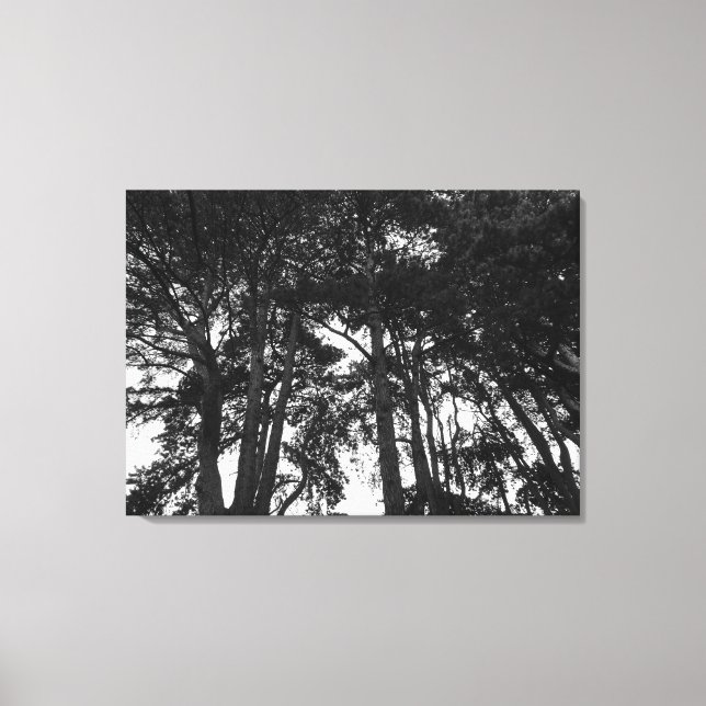 Tree Canopy II, Bute Park, Cardiff Leinwanddruck (Vorderseite)