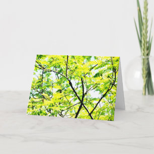 Tree Canopy Pop Art Karte