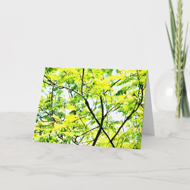 Tree Canopy Pop Art Karte (Vorderseite)