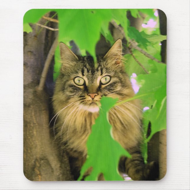 Tree Cat Mousepad (Vorne)