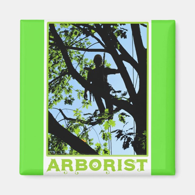 Tree Climber-Silhouette: Arborist Magnet (Vorne)