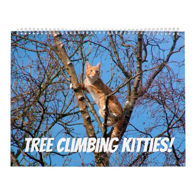 Tree Climbing Kätzchen Cat & Kittens in Bäumen 202 Kalender (Titelbild)