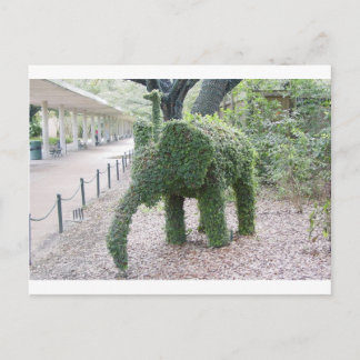 Tree Elephant Postkarte