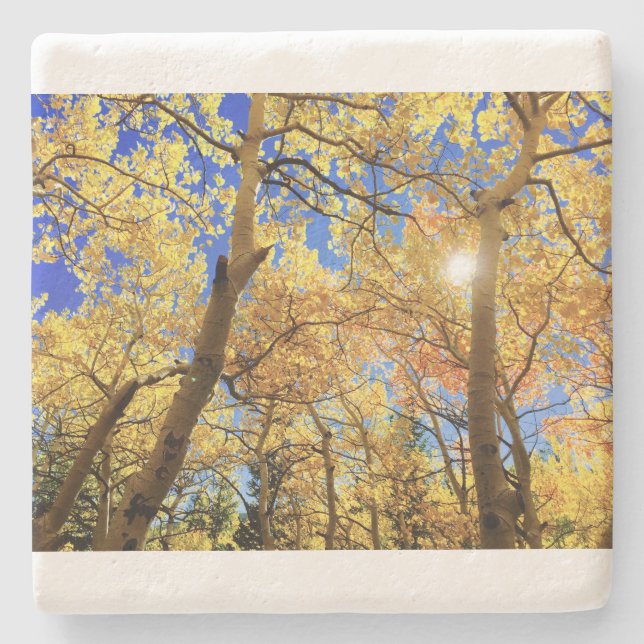 Tree Fall Nature Landscapes Sky Destiny's Steinuntersetzer (Vorderseite)