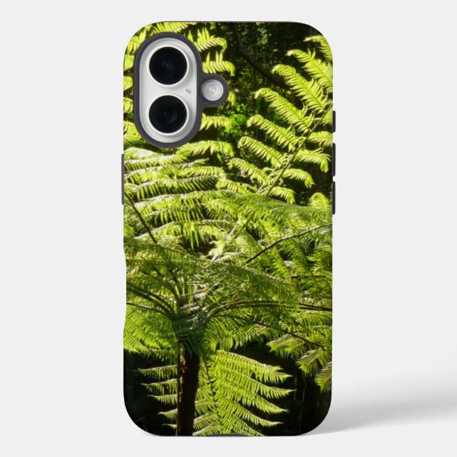Tree Fern im Regenwald Case-Mate iPhone Hülle (Rückseite)