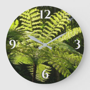 Tree Fern im Regenwald Große Wanduhr
