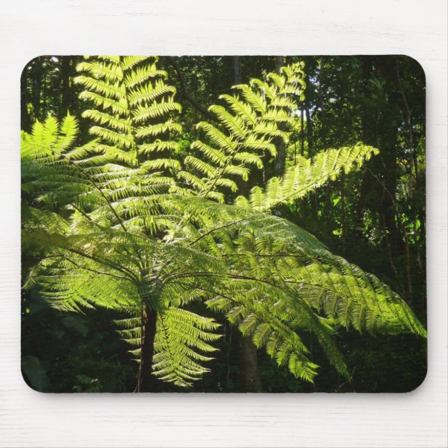 Tree Fern im Regenwald Mousepad (Vorne)
