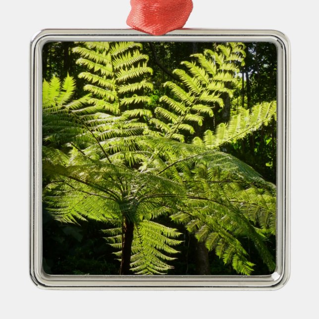 Tree Fern im Regenwald Ornament Aus Metall (Vorne)