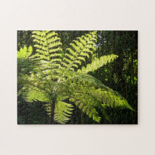 Tree Fern im Regenwald Puzzle