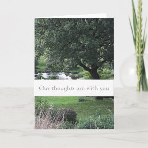Tree Friedlich Garden Beileid Condolences Card Karte