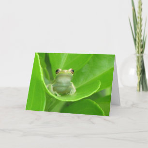 Tree Frog Birthday Card Karte
