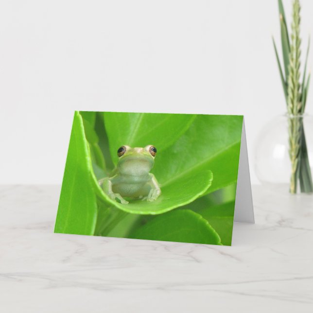 Tree Frog Birthday Card Karte (Vorderseite)