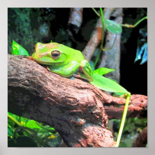 Tree Frog CB Poster