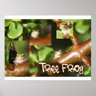 Tree Frog Collage, gleicher Frosch, verschiedene P Poster