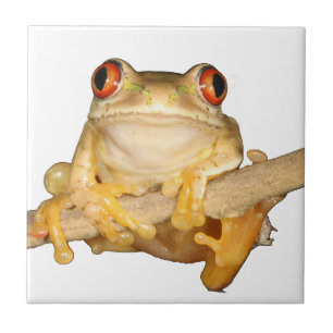 Tree Frog Fliese