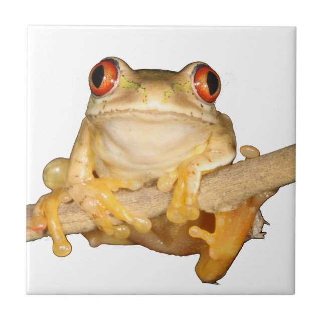 Tree Frog Fliese (Vorderseite)