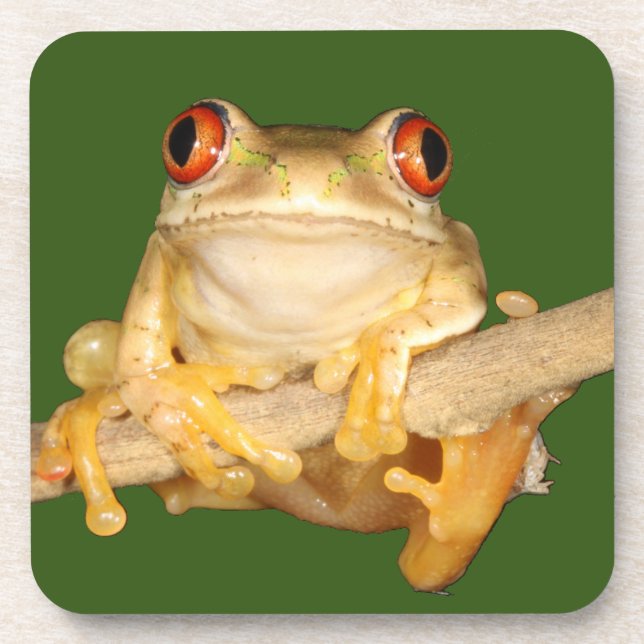 Tree Frog Getränkeuntersetzer (Vorderseite)