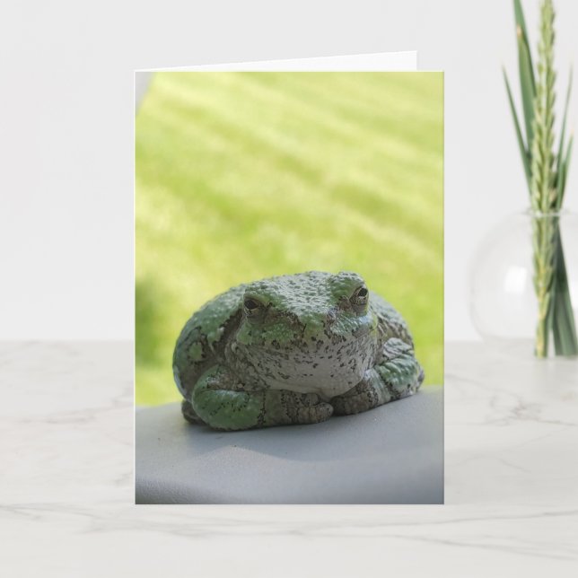 Tree Frog Grußkarte Karte (Vorderseite)