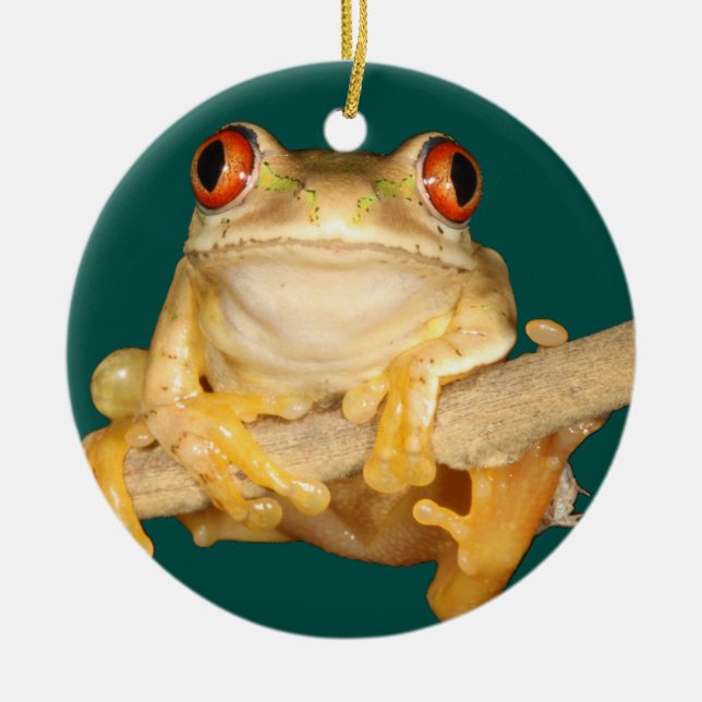 Tree Frog Keramik Ornament (Vorne)