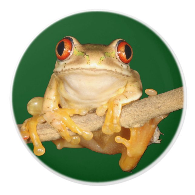 Tree Frog Keramikknauf (Vorderseite)