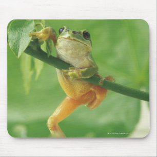 Tree Frog Mousepad