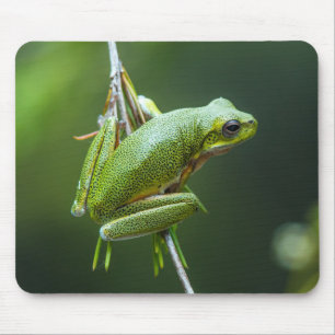 Tree Frog Mousepad
