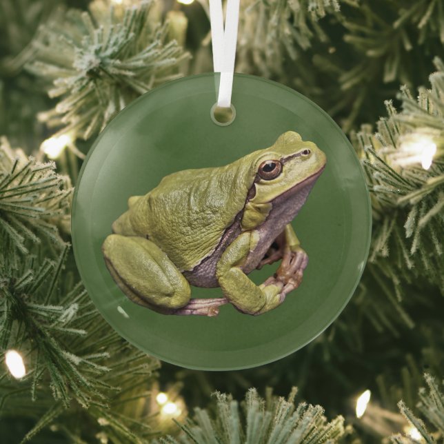 Tree Frog Niedlich Zen Frosch Glasschmuck Ornament Aus Glas (InSitu)