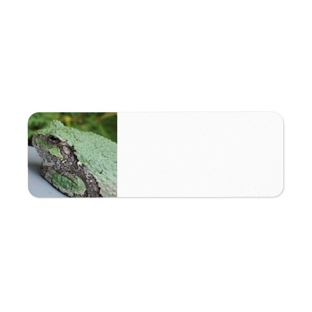 Tree Frog Return Labels (Vorne)