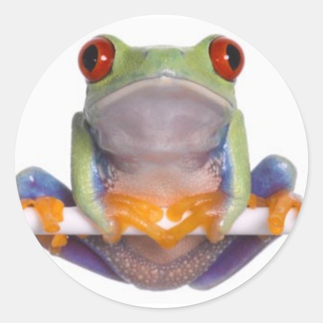 Tree Frog Sticker 2 (Vorderseite)