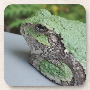Tree Frog Untersetzer