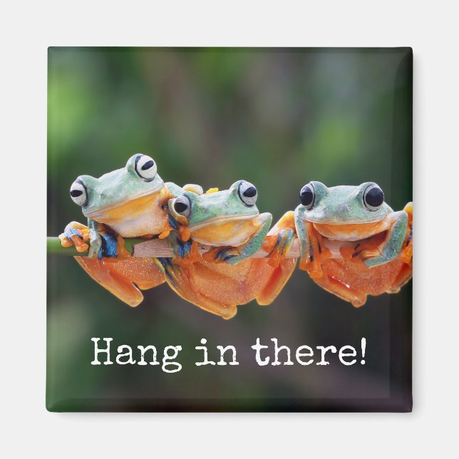 Tree Frogs Trio - Hang da drin Magnet (Vorne)