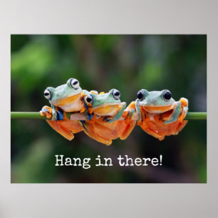 Tree Frogs Trio - Hang da drin Poster