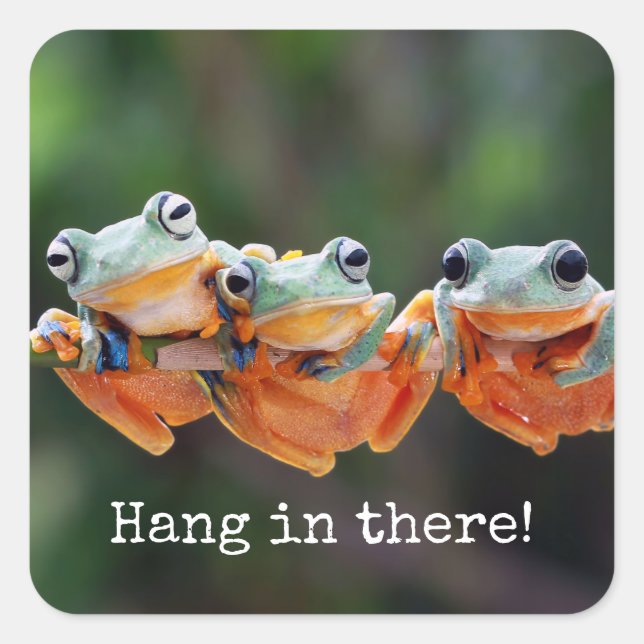 Tree Frogs Trio - Hang in There Quadratischer Aufkleber (Vorderseite)