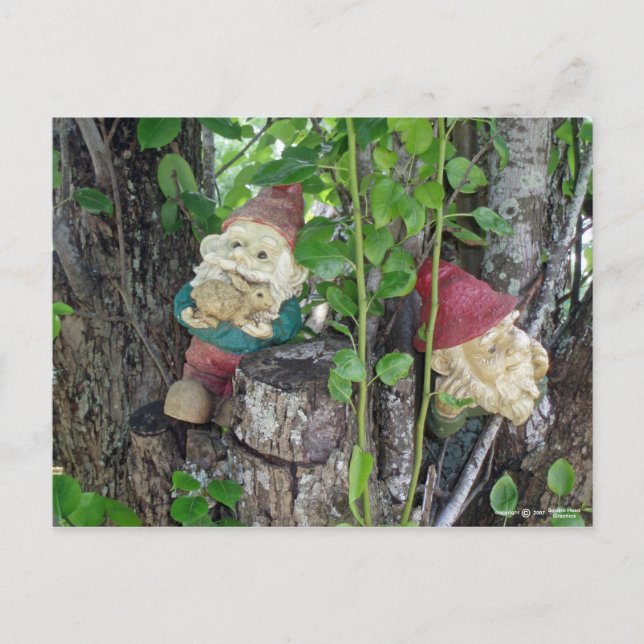 TREE GNOMES POSTKARTE (Vorderseite)