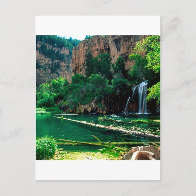Tree Hanging Lake Glenwood Canyon Postkarte (Vorderseite)