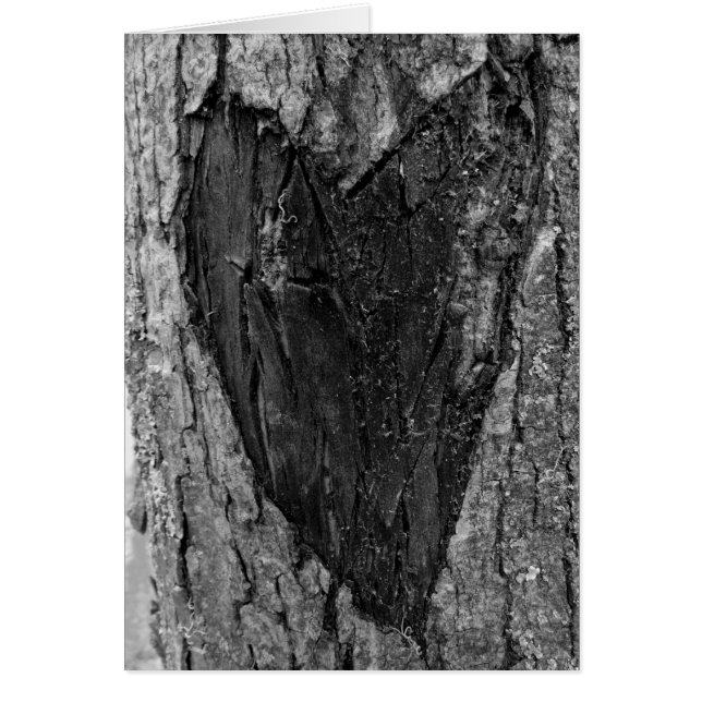 Tree Heart Carving (Vorne)
