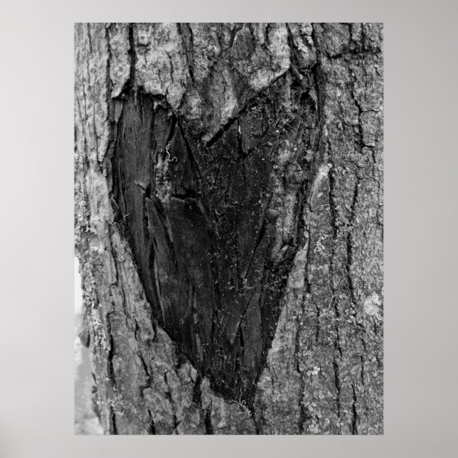 Tree Heart Carving Poster (Vorne)