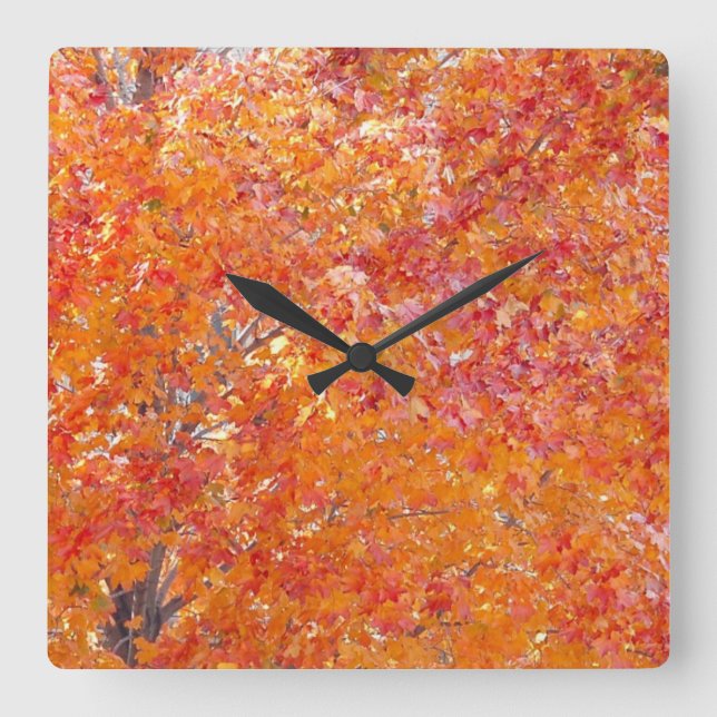 Tree-Herbstfarben-Uhr Quadratische Wanduhr (Vorderseite)