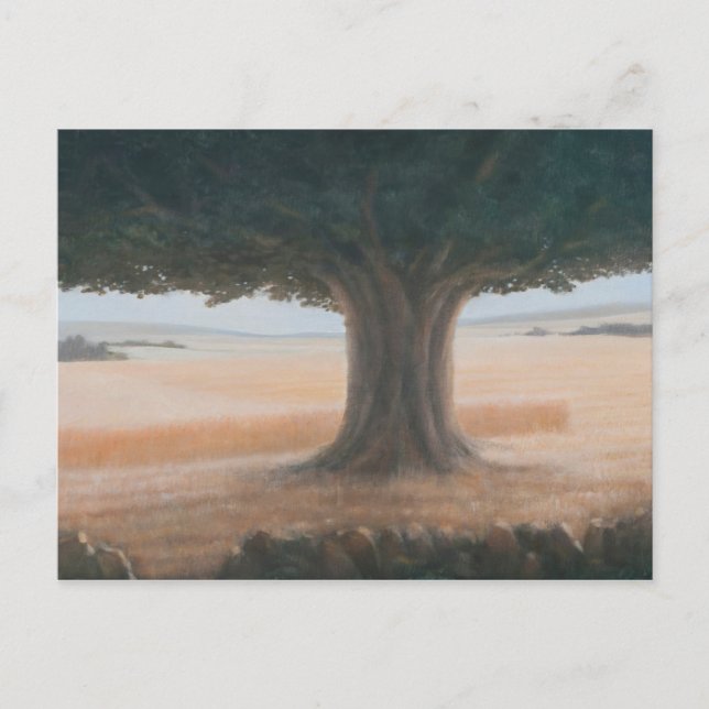 Tree Holwell 2012 Postkarte (Vorderseite)