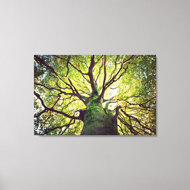 Tree Hugging Leinwanddruck (Vorderseite)