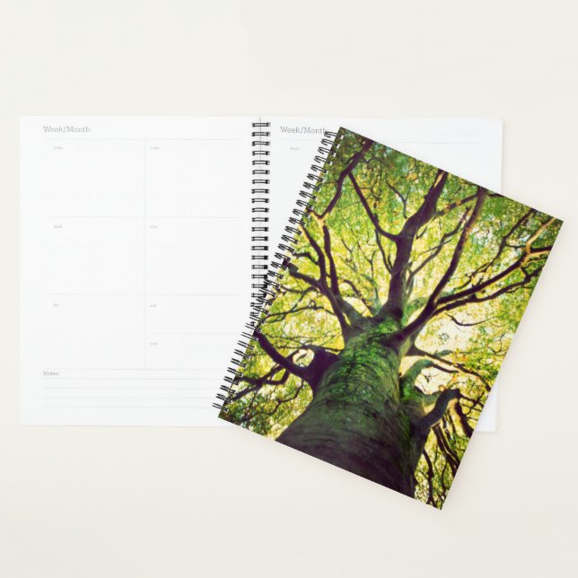 Tree Hugging Planer (Anzeige)