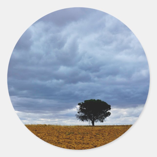 Tree in an empty field runder aufkleber (Vorderseite)